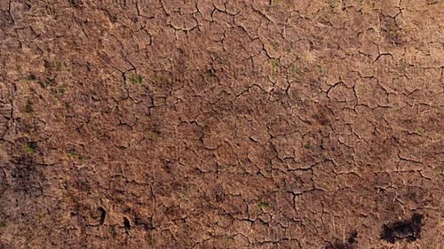 Cracked Earth Reveals a Parched and Arid Landscape
