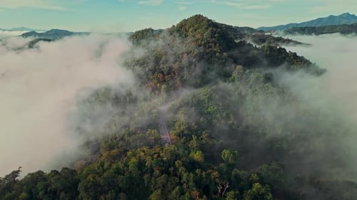 Aerial view of country road in forest morning sea of fog move flowing over mountain