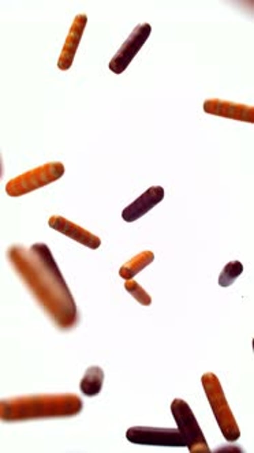 Animated Sprinkles Falling on a White Background