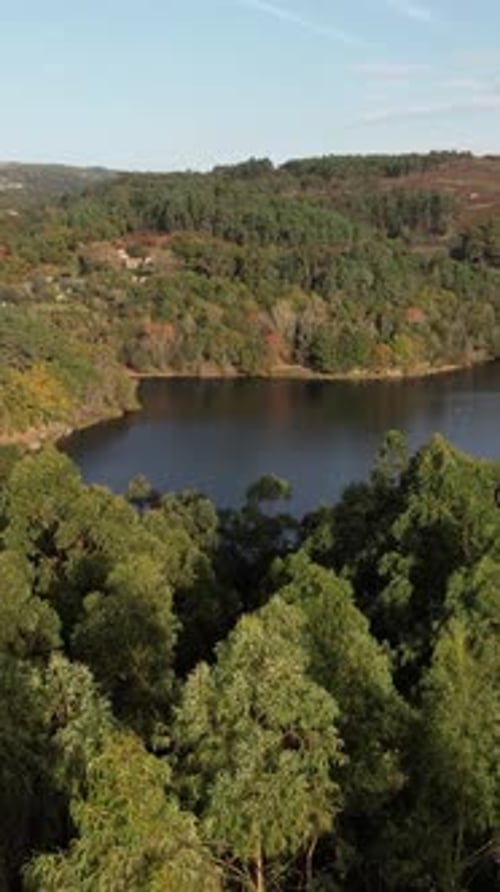 Scenic aerial drone shot over tranquil lake and lush green summer forest