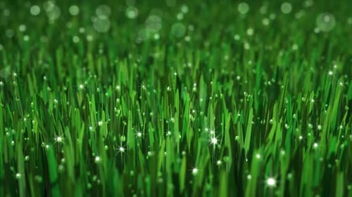 Loopable Animated Grass Background