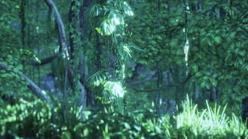 Morning Light in Beautiful Jungle Garden