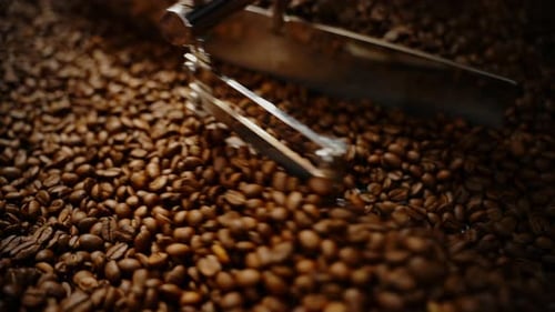 Close Up of Coffee Beans in Roaster