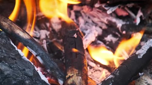 Campfire Burns Nahaufnahme in Zeitlupe in der Natur am Abend