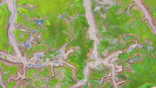 Top-Down Drone View of Tidal Streams and Green Marsh Patterns