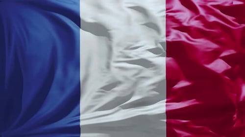 Realistic Waving French Flag Seamless Loop