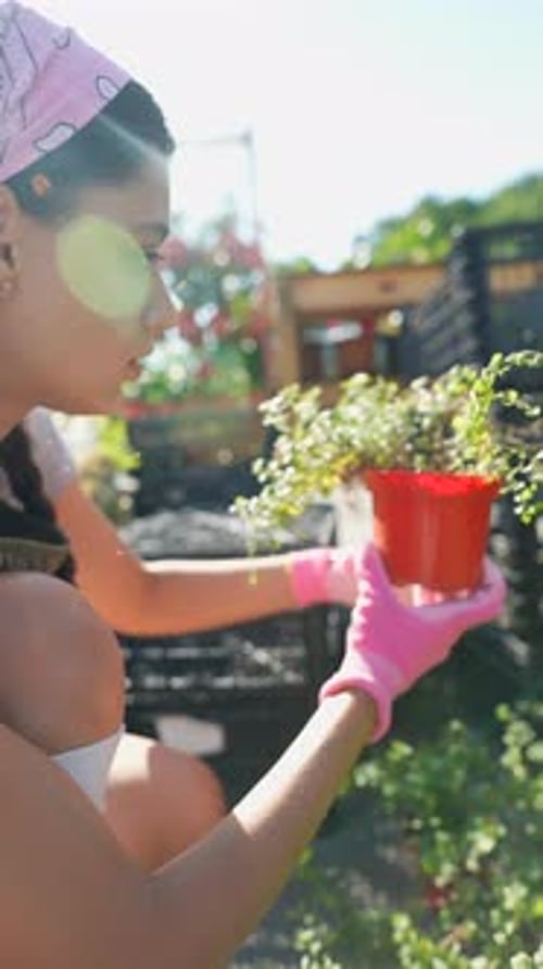 Young Woman Farmer at the Farmers Plants Market with Small Plant Preparing to Sell the Product