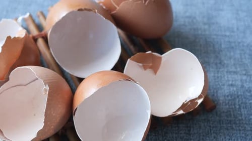 Eierschalen in einer weißen Farbschale auf dem Tisch