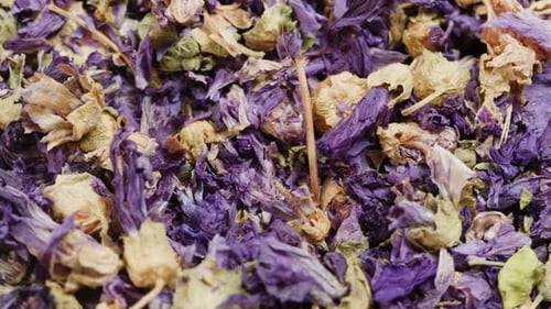 Blue Anchan Dried Flowers Tea Rotating Closeup Thailand Butterfly Pea Flower Tea Spice for Food and