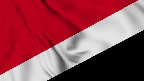 Animated Red White Black Diagonal Waving Fabric Loop