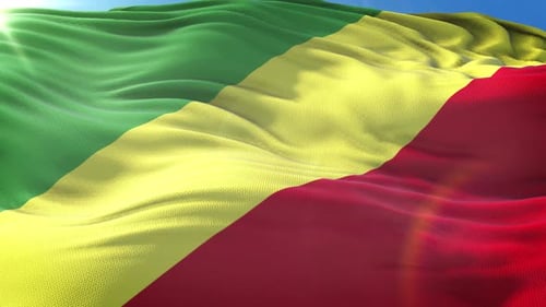 Realistic Waving Flag with Detailed Fabric Texture