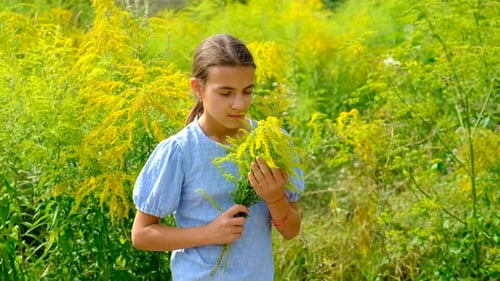 Child in a Field of Ragweed Elective Focus