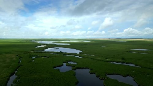 Establishing Aerial of Vast Marsh with Lakes under Blue Sky