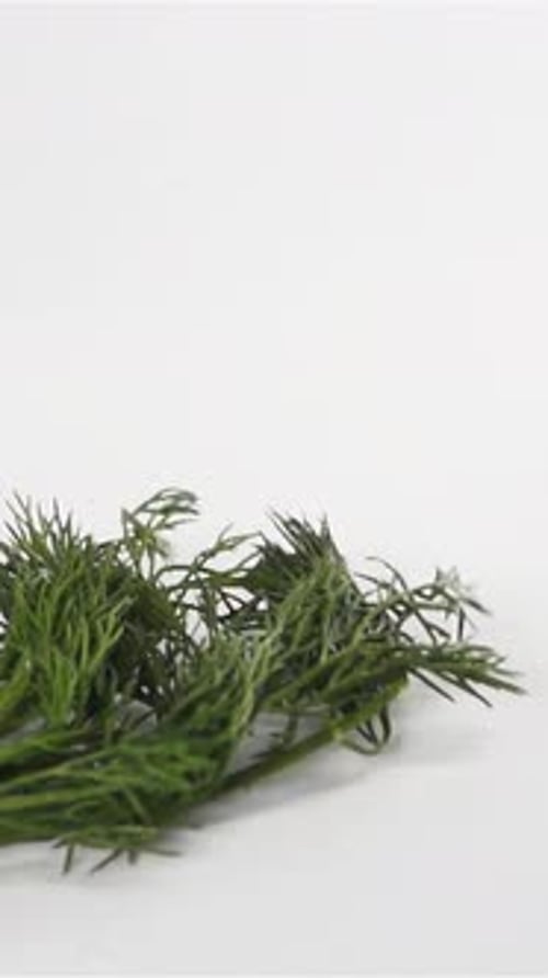 Vertical of Bunch of Dill Falling Down on White Surface