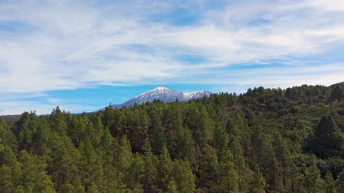 Breathtaking Aerial View of Snow-Clad El Teide Volcano and Pine Forests