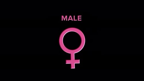 Male Female Gender Symbol Morph – Seamless Loop Animation