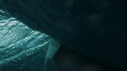 Low angle view of surfer cutting back on shortboard on shoulder of wave