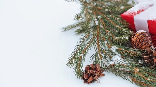 Christmas Gift and Pine Cones in the Snow