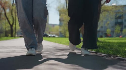 Two Companions Enjoy Bright Walk Pair of Friends Wander Through Sunny Park Duo of Friends Leisurely