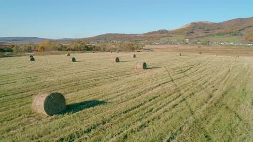 Aerial Landscape of Hay Bales Field After Harvest Agriculture Field Rural Nature in the Farm Land