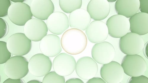 Skin Cells Healing and Recovery Process Natural Components Reducing Inflammation and Restoring