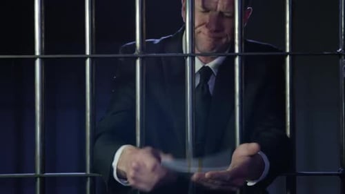 White collar crime - man smiling behind bars with his money - financial crime HD