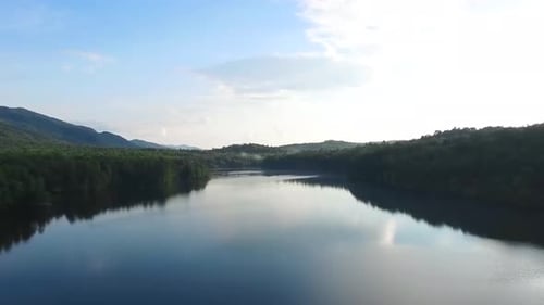 Footage features a lake or a river water with trees and a forest on the sides. water is reflecting t