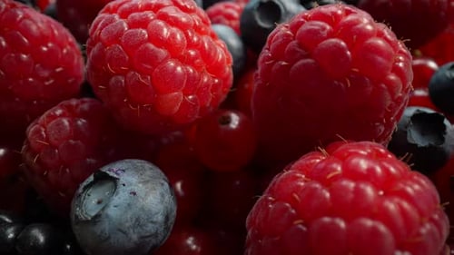 Close Up Shot of Fresh Berries