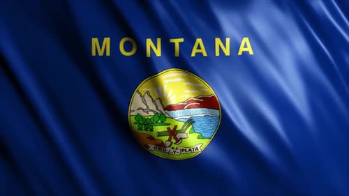 Waving Montana State Flag Animation with Realistic Fabric Motion
