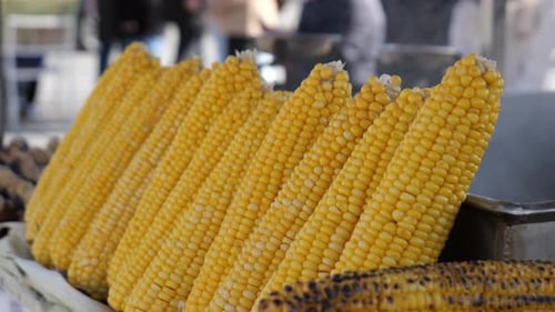 Boiled Corn on the Cob at Istanbul Street Food Stall