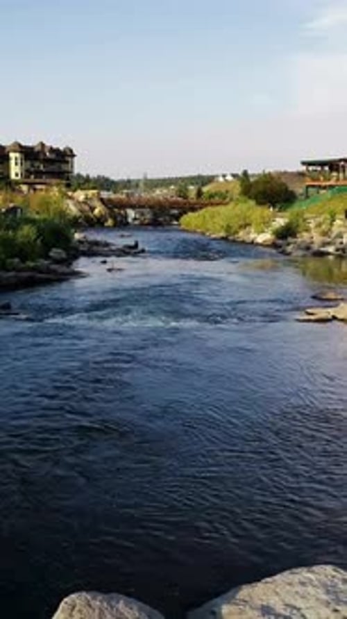 Vertical View Of Town Lake in Texas