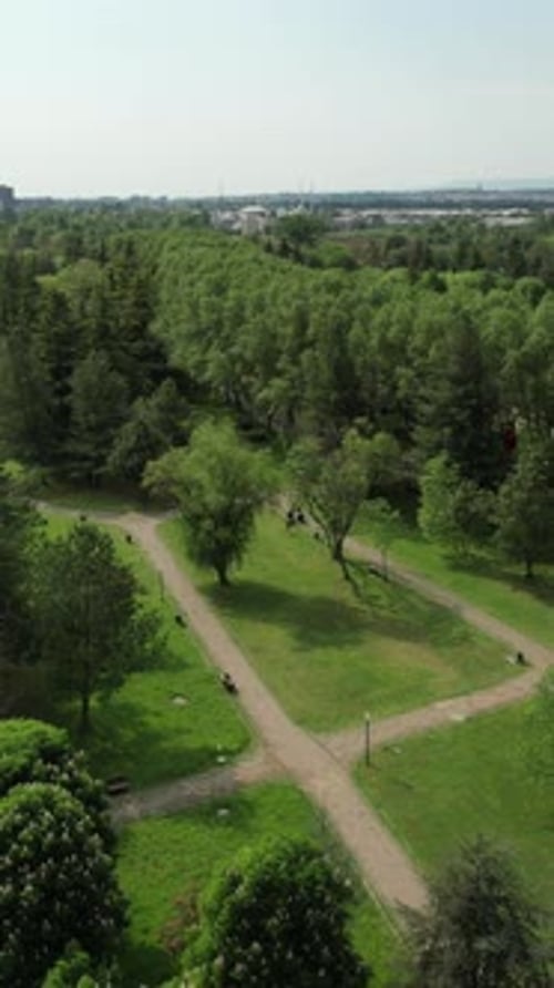 Aerial Greenery Botanical Park