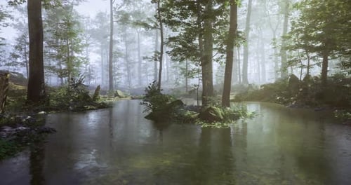 Peaceful Forest Landscape with Tranquil Water Reflections in Morning Light