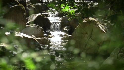 Wunderschöner Wasserfall und fließender Bach, beleuchtet von sanftem Sonnenlicht. Umgeben von üppigem Grün,