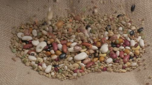 Falling Beans and Lentils on Burlap