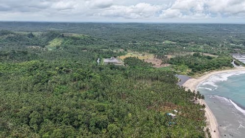 Aerial View of Lush Green Landscape with Palm Trees, Coastline, and Cloudy Sky