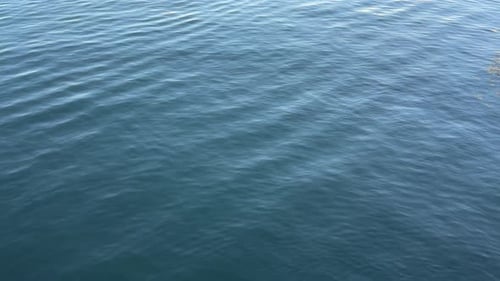 Gentle Waves Rippling on the Ocean Surface
