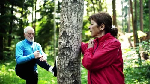 Senior Sporty Couple Stretching in the Forest Outdoors in Sunny Nature