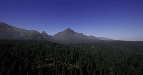 Mountains Rise Majestically Above a Dense Forest Under a Clear Blue Sky