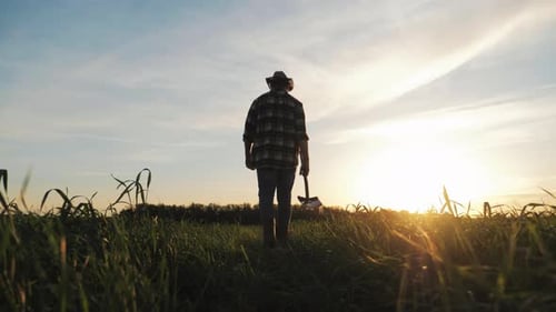 Silhouette of Man Farmer with Shovel Walk Green Field Sunset of Wheat Grass Agriculture Business