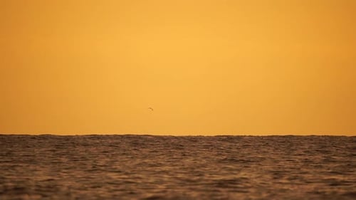 A Red Burning Sunset Over Sea with Rocky Volcanic Cliff Abstract Nature Summer Ocean Sea Background