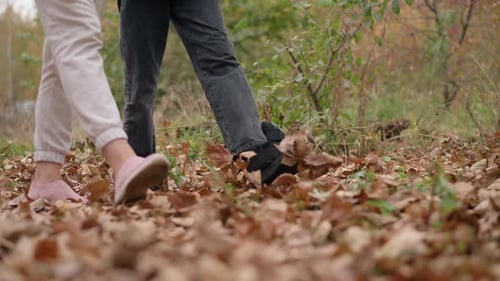 Ein Spaziergang durch trockene Herbstblätter in ruhiger Umgebung im Freien