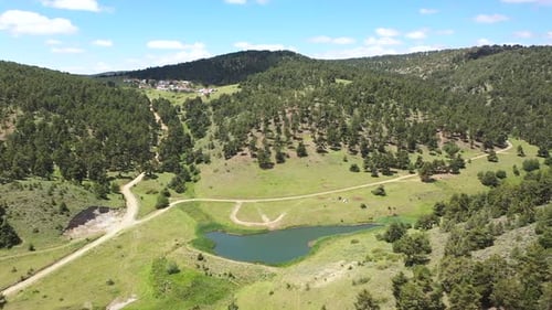 Vue aérienne des arbres, des collines, des chemins forestiers et du lac