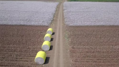 Aerial footage of a vast Cotton field s