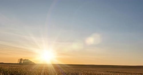 Meadow Timelapse at the Autumn Sunset Time Wild Nature and Rural Grass Field Sun Rays and Yellow