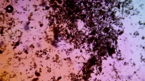 Microscopic Organic Particles Moving in Abstract Grunge Style