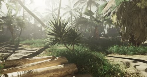 Moving Through a Lush Tropical Palm Jungle Pathway