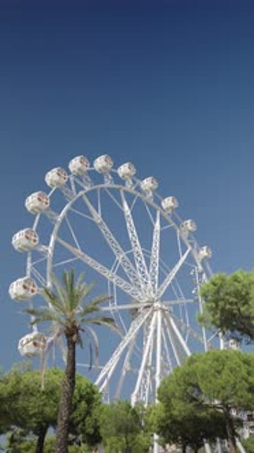 Ferris Wheel in Tropical City on Sunny Day