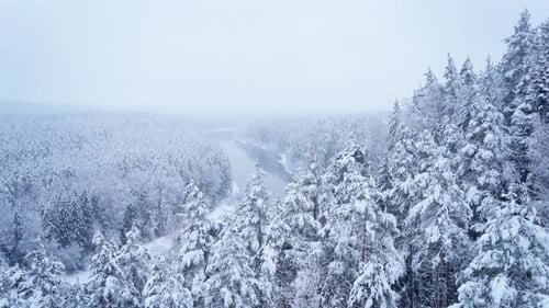 Snowy winter forest with river