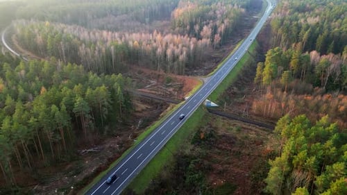 Eine Drohnenaufnahme einer Straße, die zur Stadt führt, mit der Sonne, die über einem Wald in Herbstfarben aufgeht